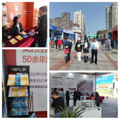 園區公積金助力岳陽惠民房交會，提供專業房地產咨詢服務